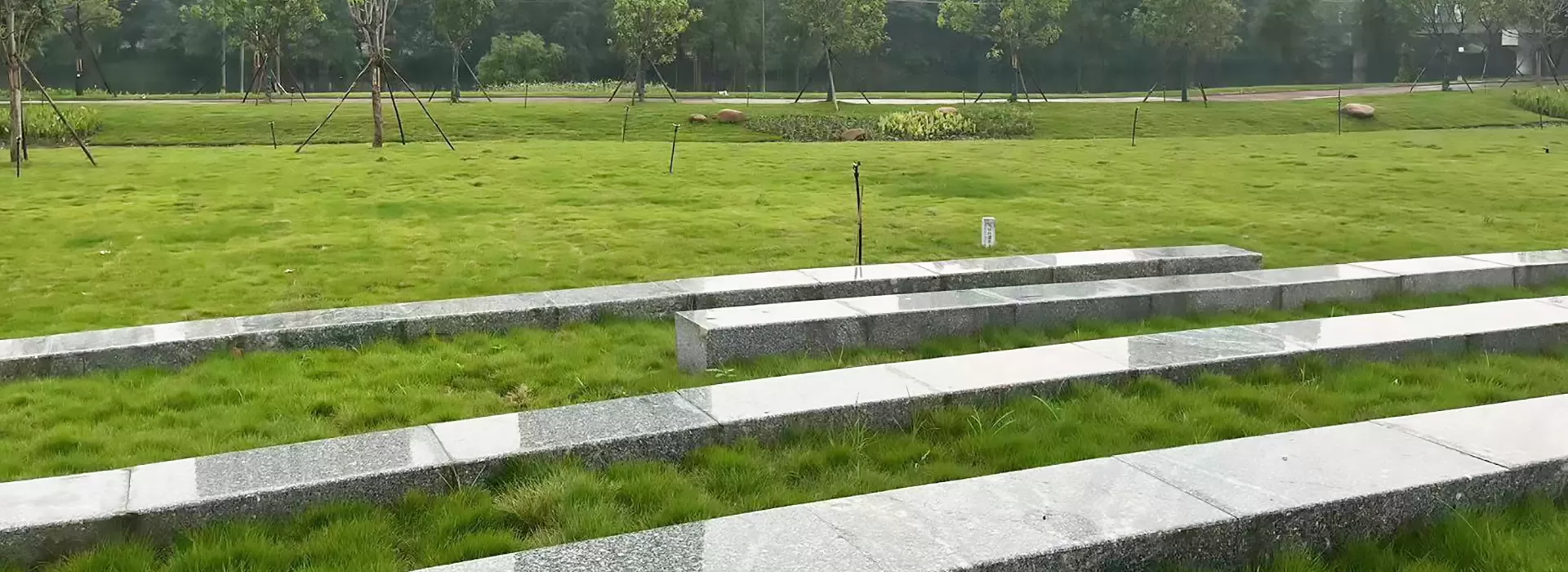 画板 1 拷贝 4