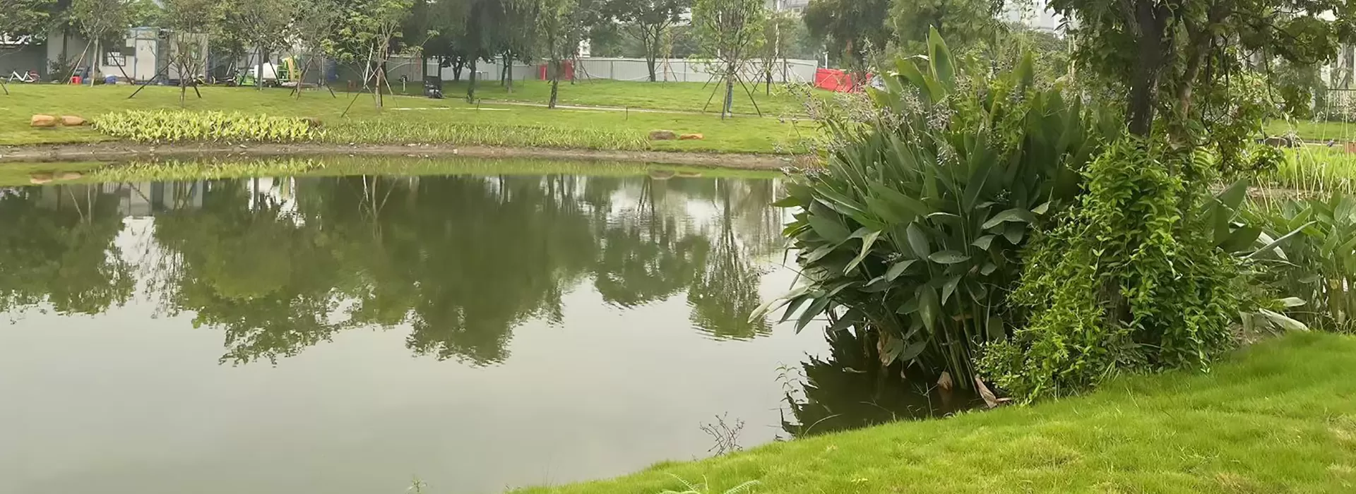画板 1 拷贝 3